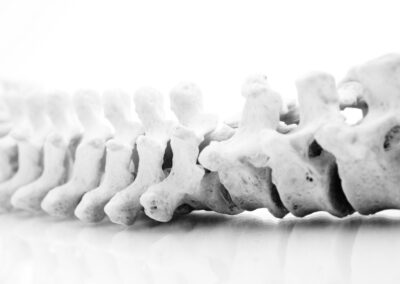 HVLA Manipulations and Therapeutic Exercise 17-18 Maggio 2025 –  CATANIA